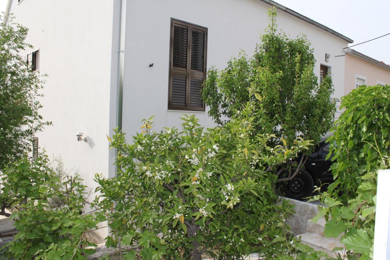 Dalmatia Apartments 珀德垂那 外观 照片