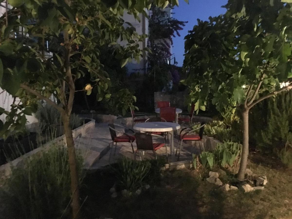 Dalmatia Apartments 珀德垂那 外观 照片